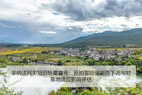 辛纳法网失冠后哈雷首秀：反拍冒险值能否下调与对草地适应影响评估