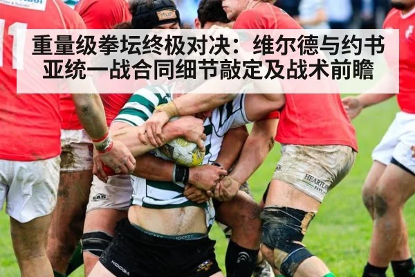 重量级拳坛终极对决：维尔德与约书亚统一战合同细节敲定及战术前瞻